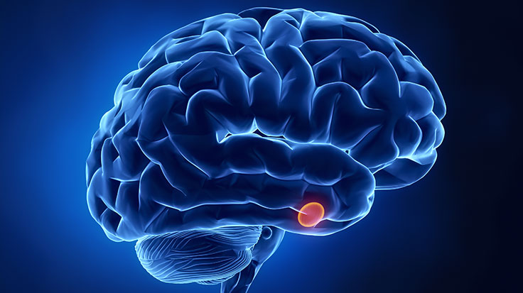 Growth-Hormone-Therapy