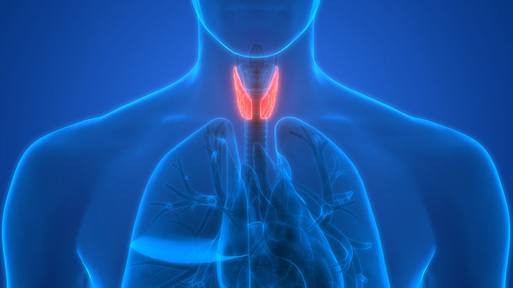 Thyroid-Optimization